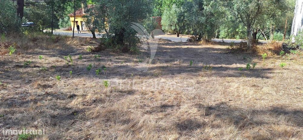 Terreno Rústico com 6.400 m² – Matas, Caranguejeira