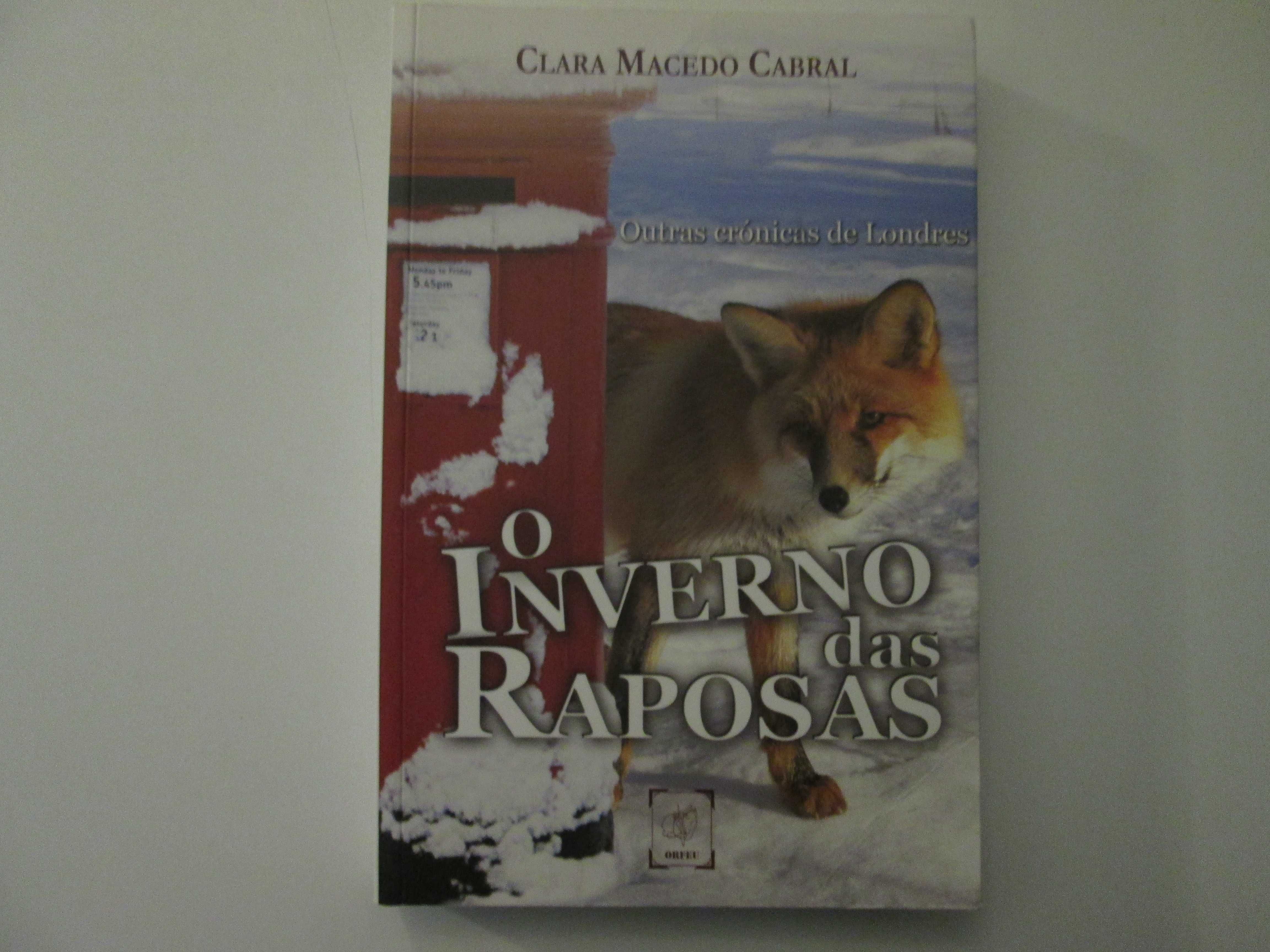 O inverno das raposas- Clara Macedo Cabral