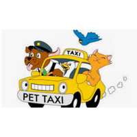 Táxi DOG - Uber para Cães e Gatos
