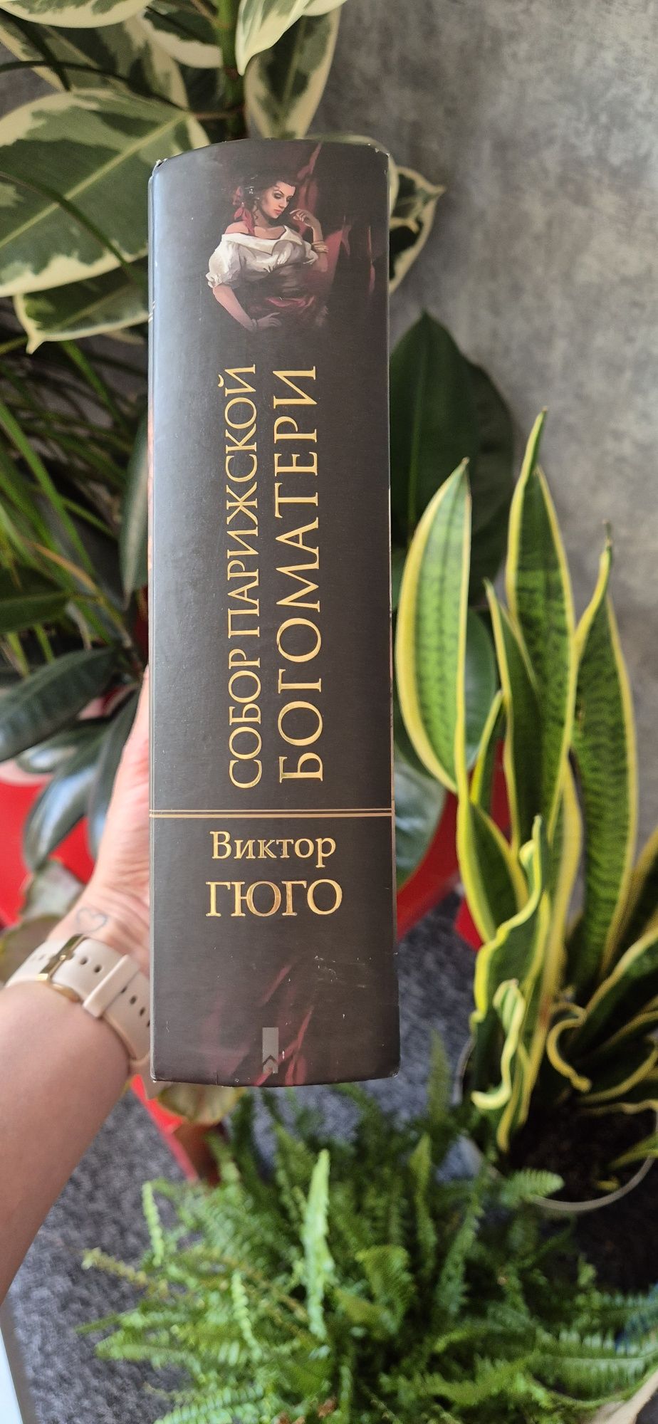 Собор Парижской богоматери. Książka w języku rosyjskim