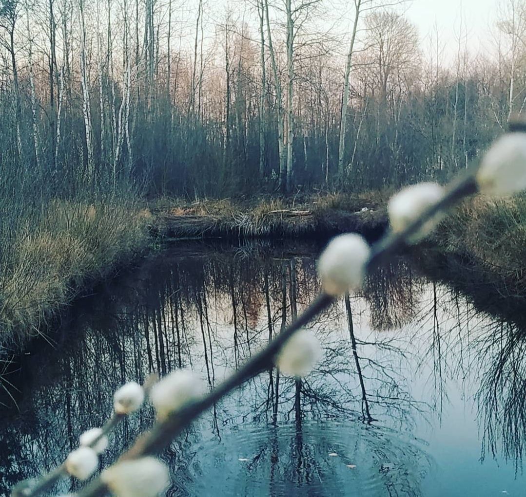Продам хату в с.Колодії