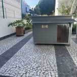 Casota cães e gatos MSWood