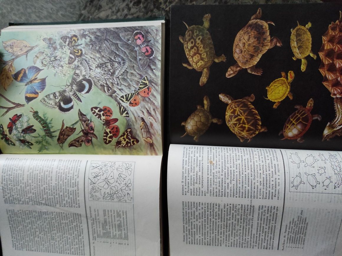 Життя тварин у 4 томах