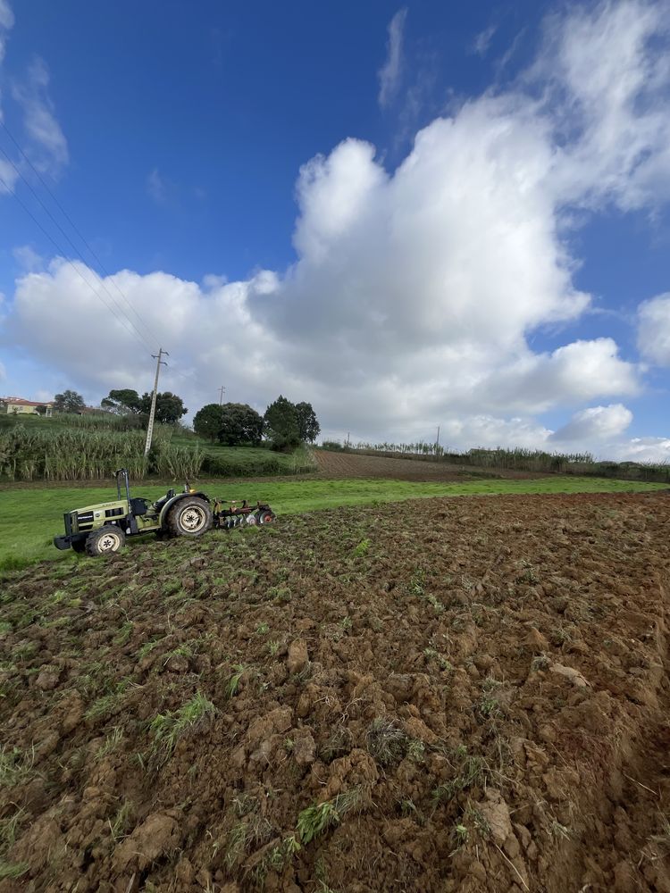 Serviços agricolas e florestais / jardins / corte de arvores