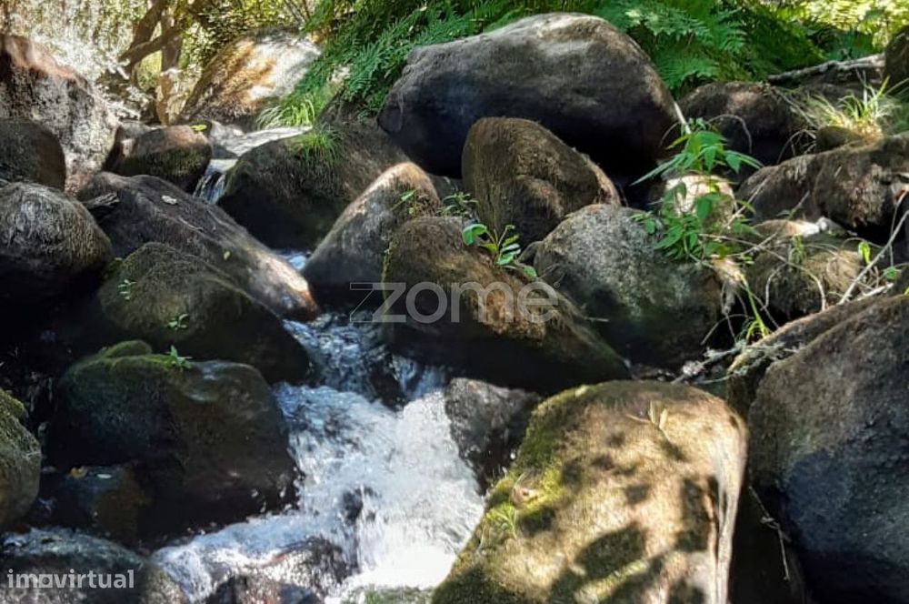 Quinta junto ao rio Seia