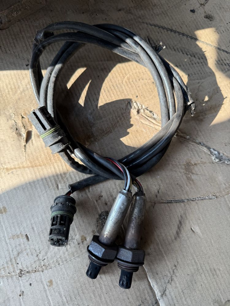 Sondy lambda e36 m52 siemens