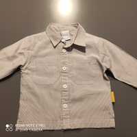 Koszula Coccodrillo r. 68 dla chłopca