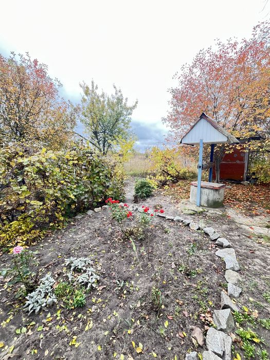 Продаж дачного будинку у Новій Водолазі