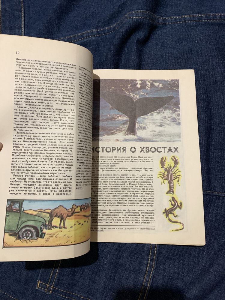 Радянський журнал Юний натураліст