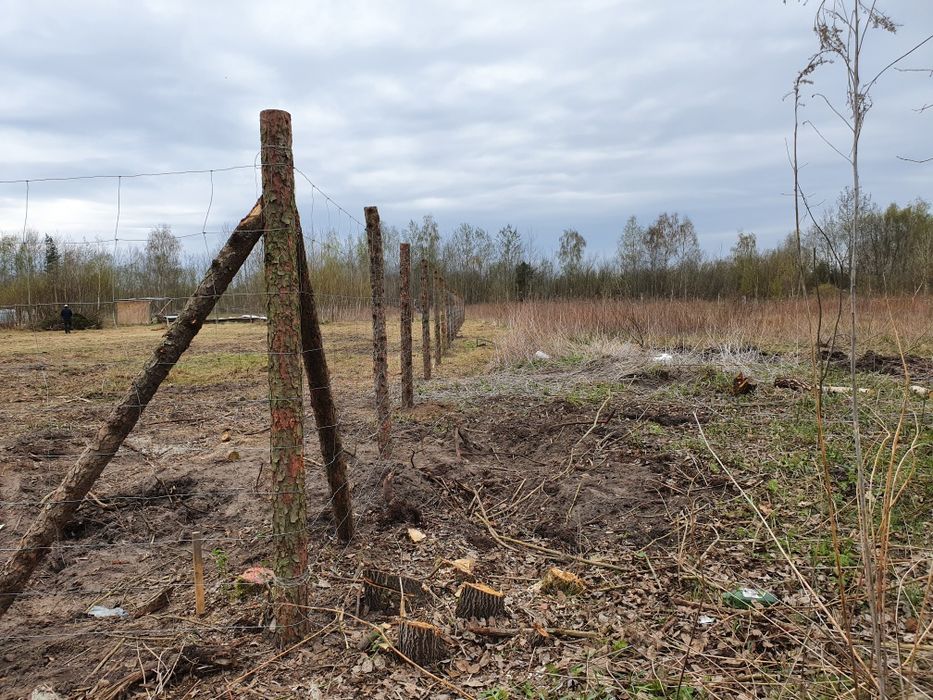 Ogrodzenie z siatki lesnej, płot na budowe, ogrodzenie tymczasowe