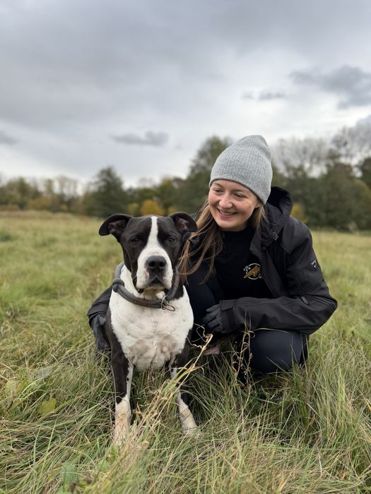 Hotel dla psów, szkolenia, konsultacje behawioralne - Częstochowa