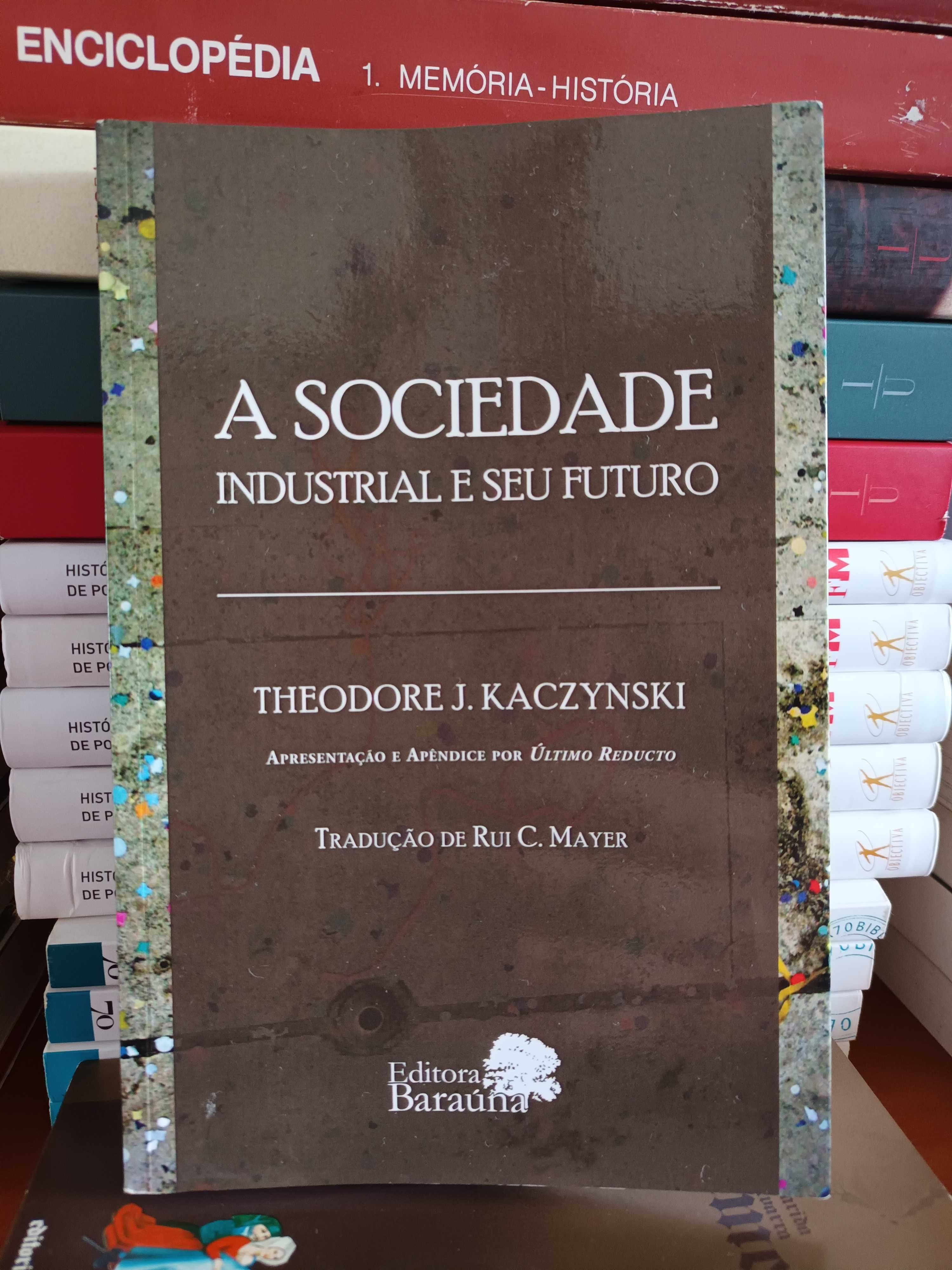 A Sociedade Industrial e seu Futuro