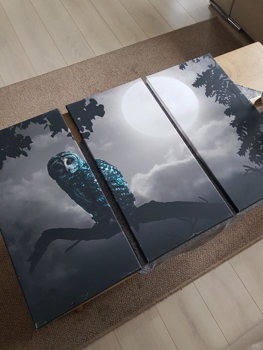 Potrójny obraz z sową