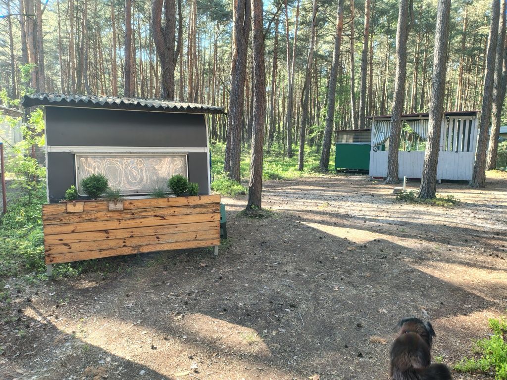 Działka leśno rekreacyjna