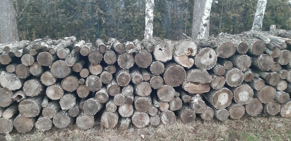 Sprzedam drewno opałowe i dłużyca