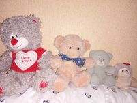 Teddy ведмідь медведь мишки їжачок