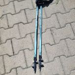 Kijki trekingowe/ nordicwalking Newfeel NWP120