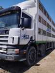 Scania transporte de animais vivos