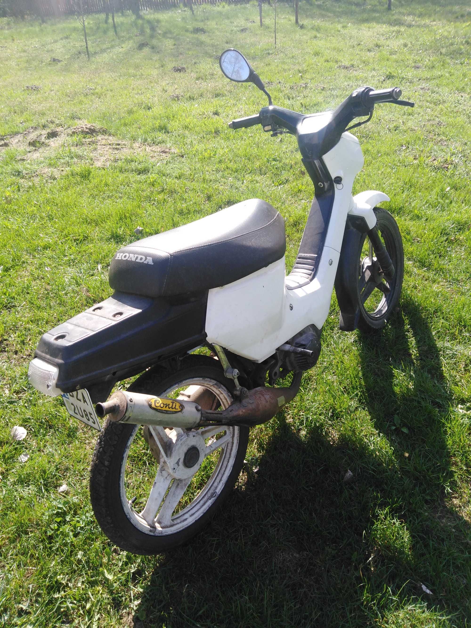 Honda Wallaroo. (komar wsk)