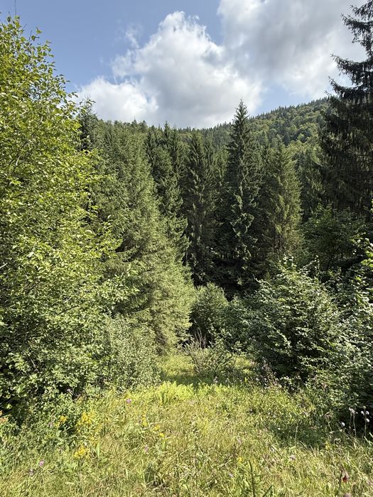 Продається на Синевирському перевалі дві ділянки поруч 10+49