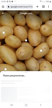 Продаж картоплі без гмо