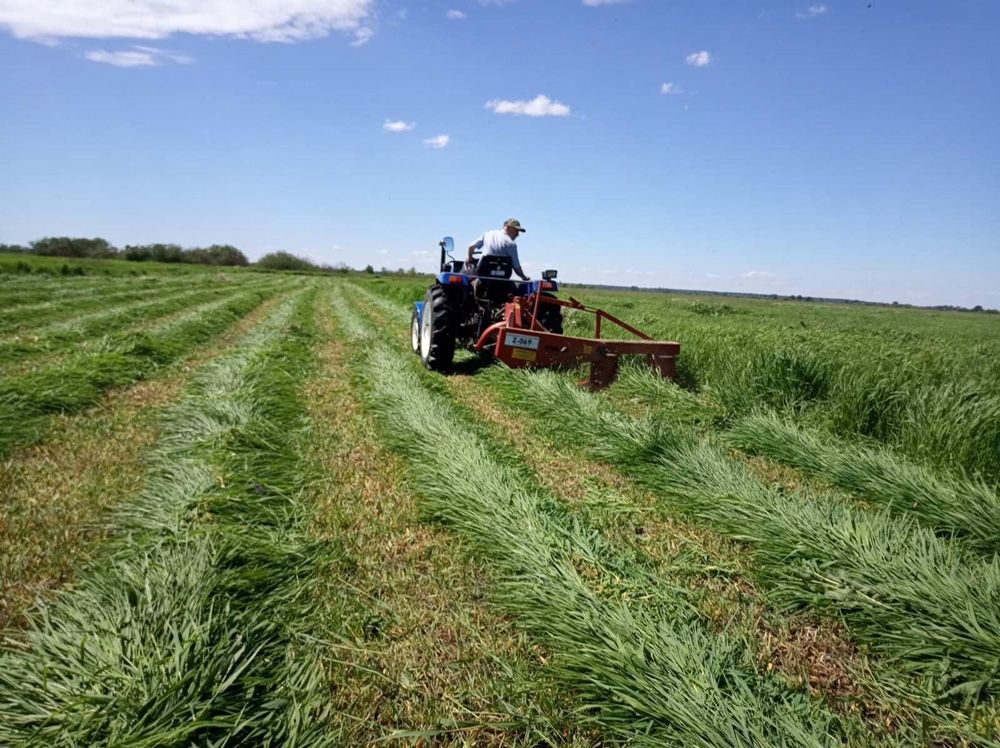 Продам сіно Киів обл в тюках, власник. Самовивіз.  Доставка сіна.