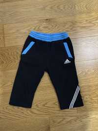 Spodnie dresowe Adidas roz. 80 cm