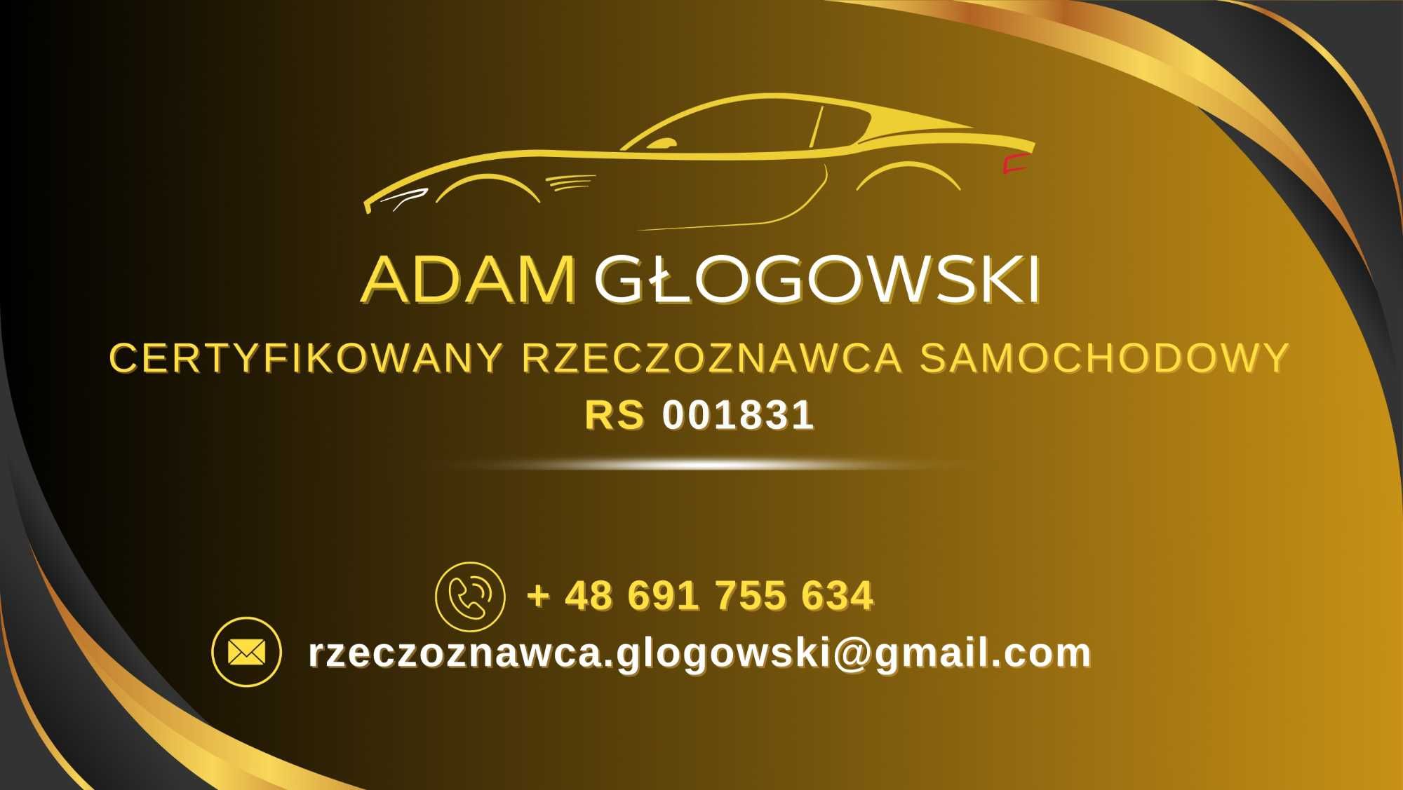 Certyfikowany Rzeczoznawca Samochodowy Konin, Turek, Września, Poznań