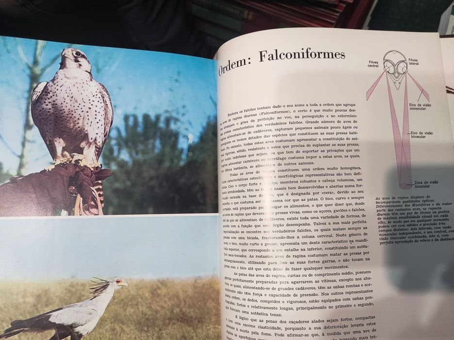 A Fauna - Publicações Alfa