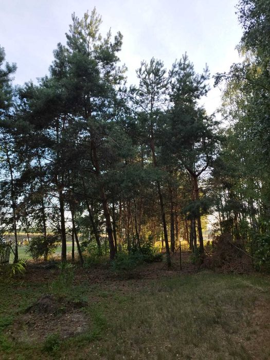 Działka budowlana Wymysłowo - 1412 m2