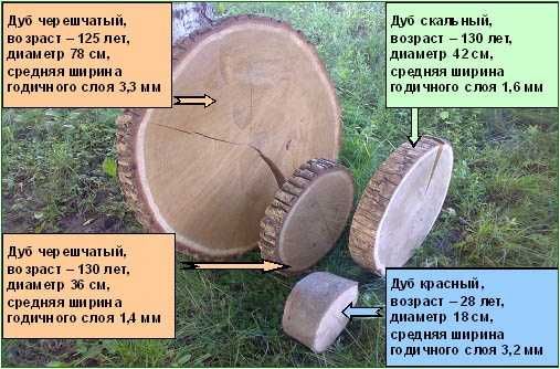 Активированный кокосовый уголь