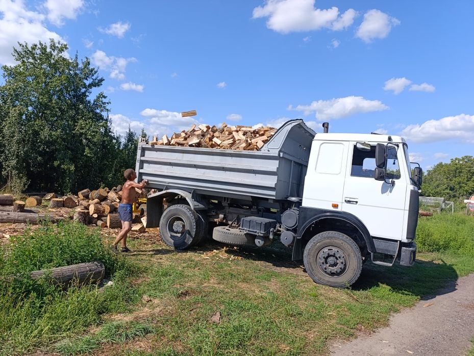 Дрова дуб граб сосна вільха.
