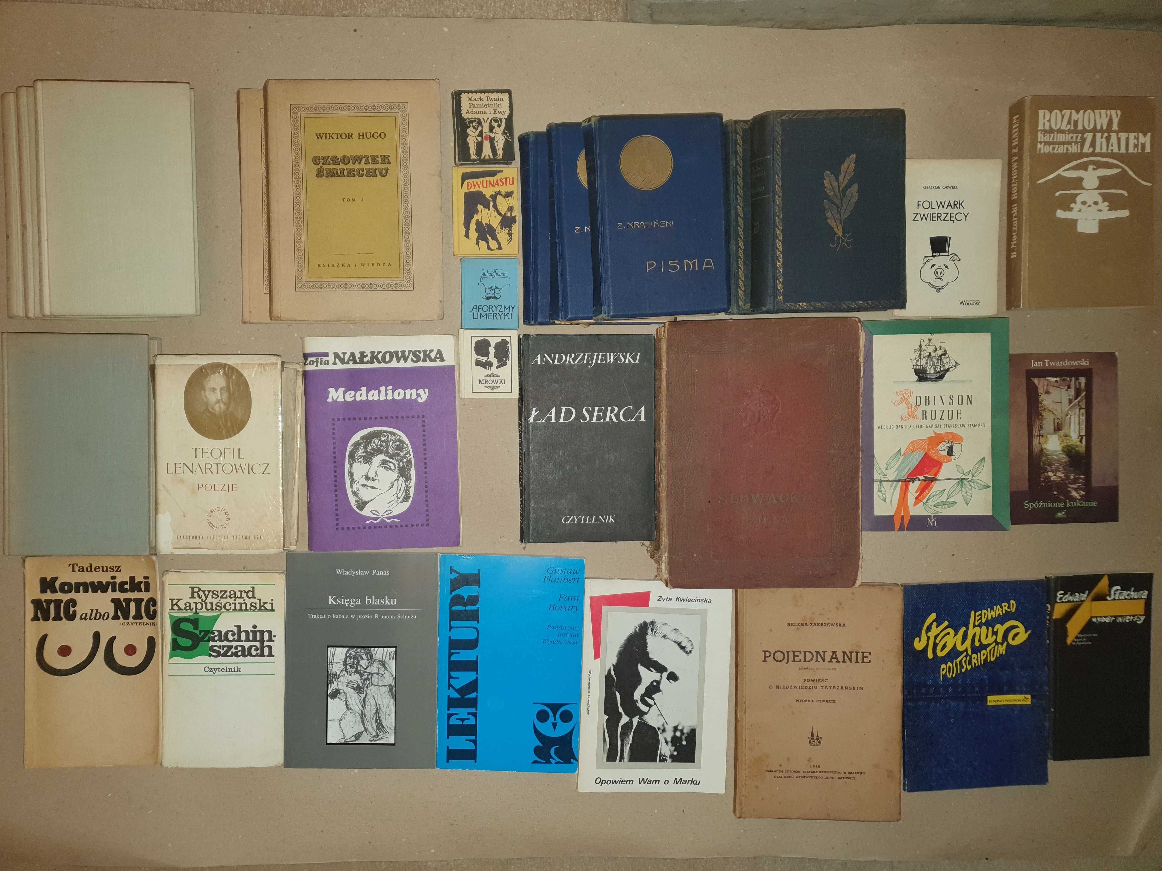 Panas Księga blasku Traktat o kabale w prozie Brunona Schulza