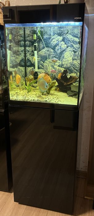 Akwarium AQUAEL 125l