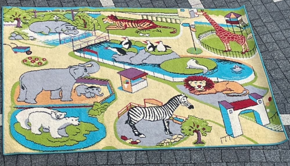 Dywan Zoo 160/220