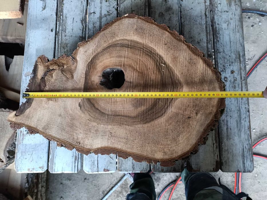 Plastry orzech wloski 7cm żywica stolik