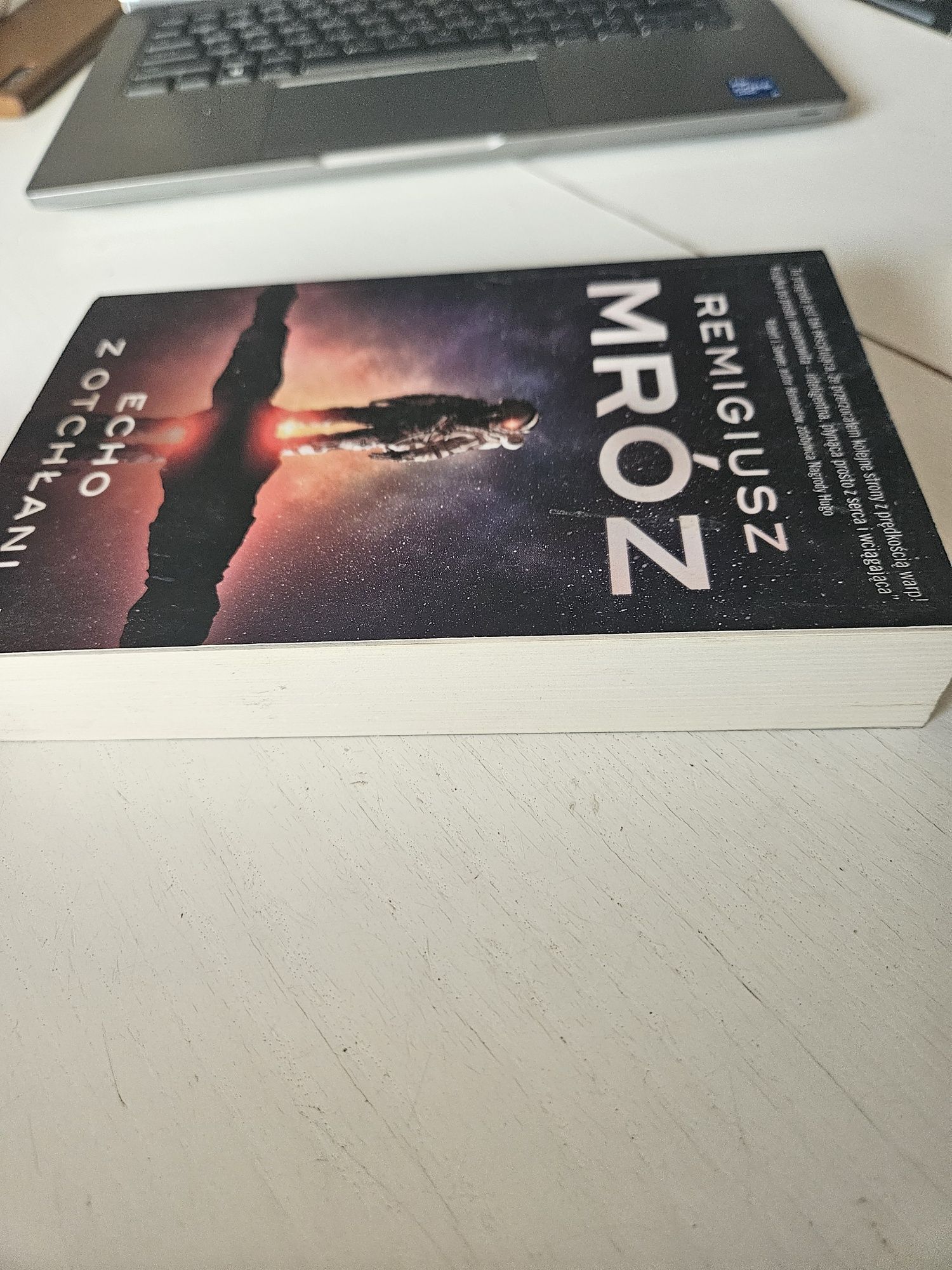 Echo z otchłani Remigiusz Mróz