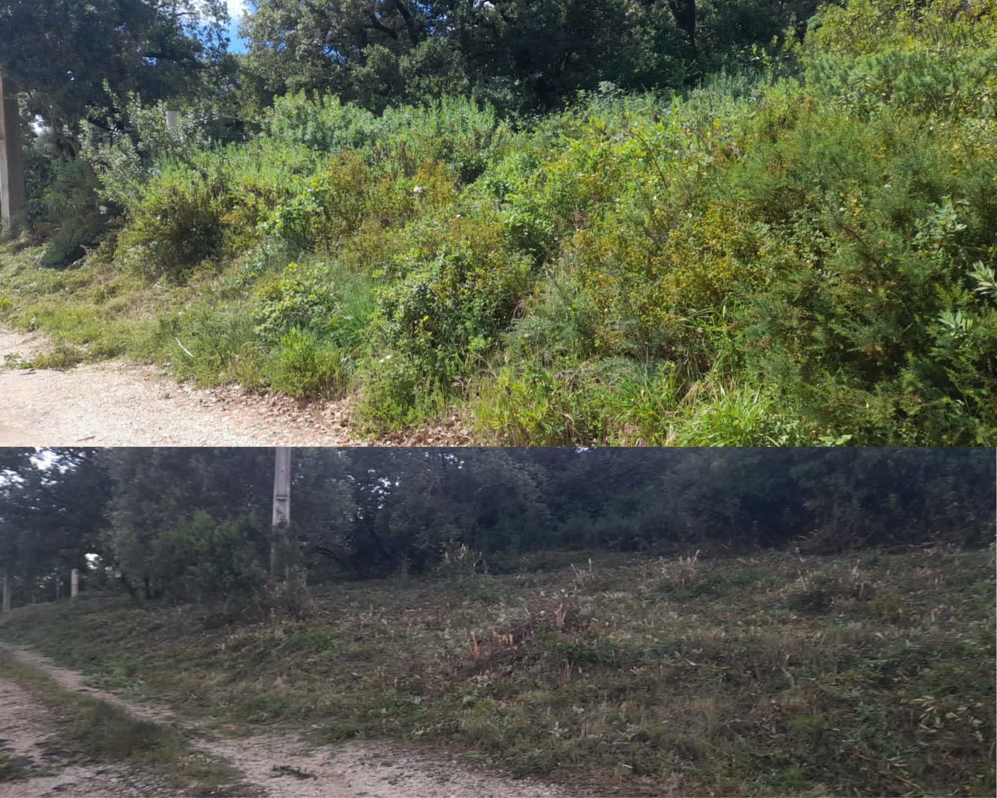 Limpeza e manutenção terrenos