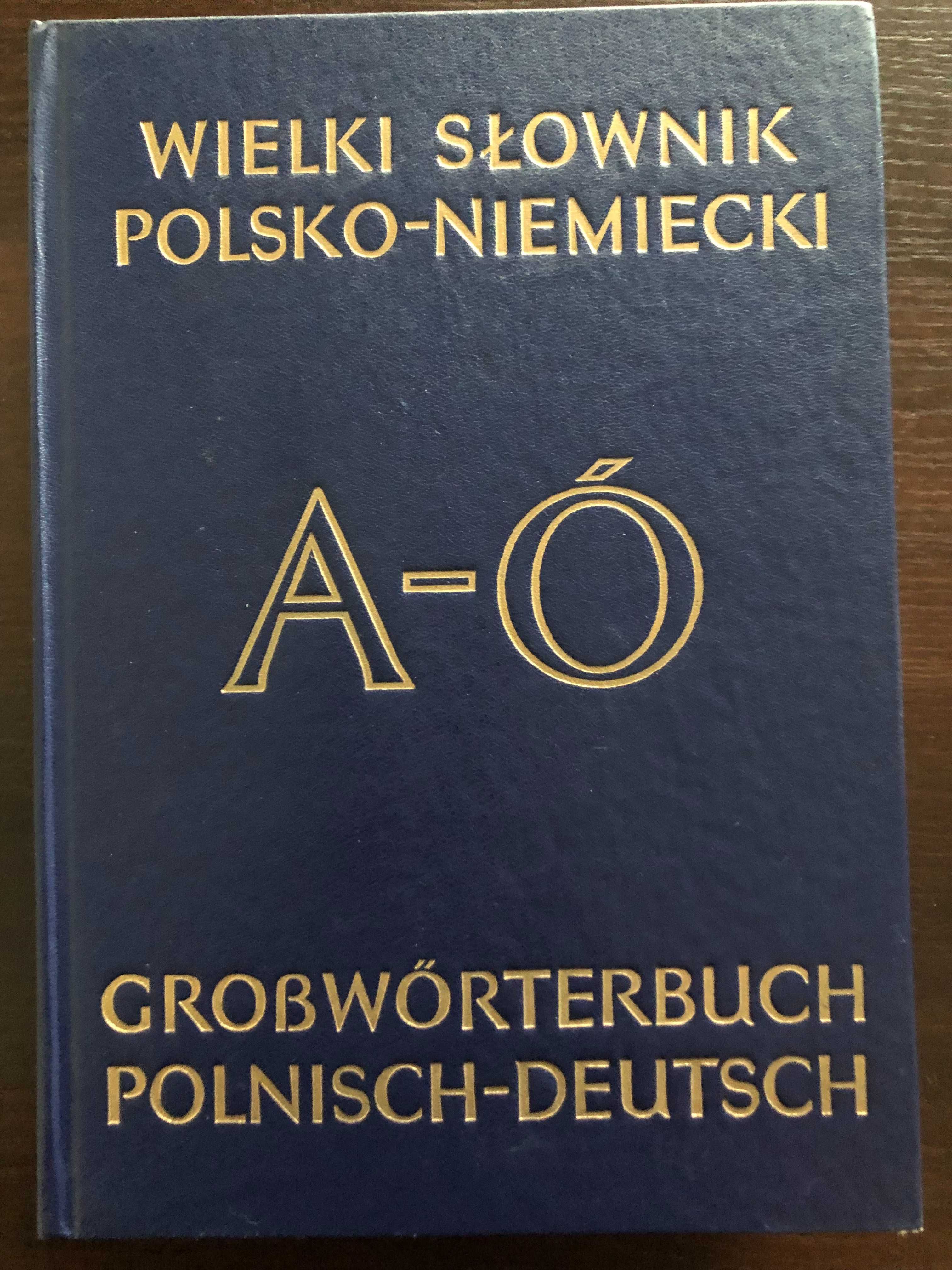 Wielki słownik polsko-niemiecki i niemiecko-polski - Jan Piprek