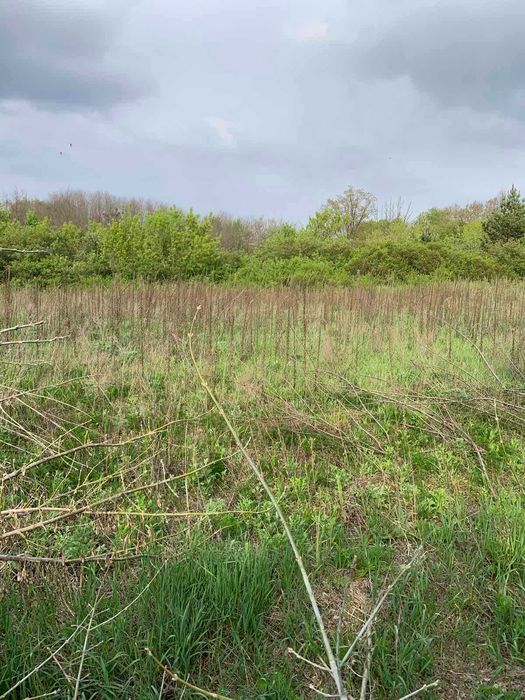 Продам срочно землю