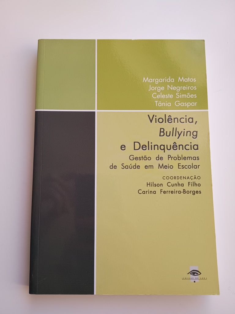 Violência, Bullying e Delinquência- Margarida Matos Com PORTES e Como