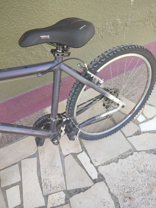Bicicleta adulto