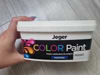 Farba dekoracyjna COLOR PAINT 1 l P0001 Lateksowa matowa JEGER