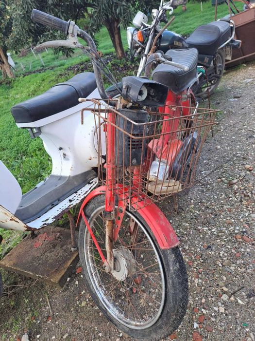 Motorizada Honda Camino