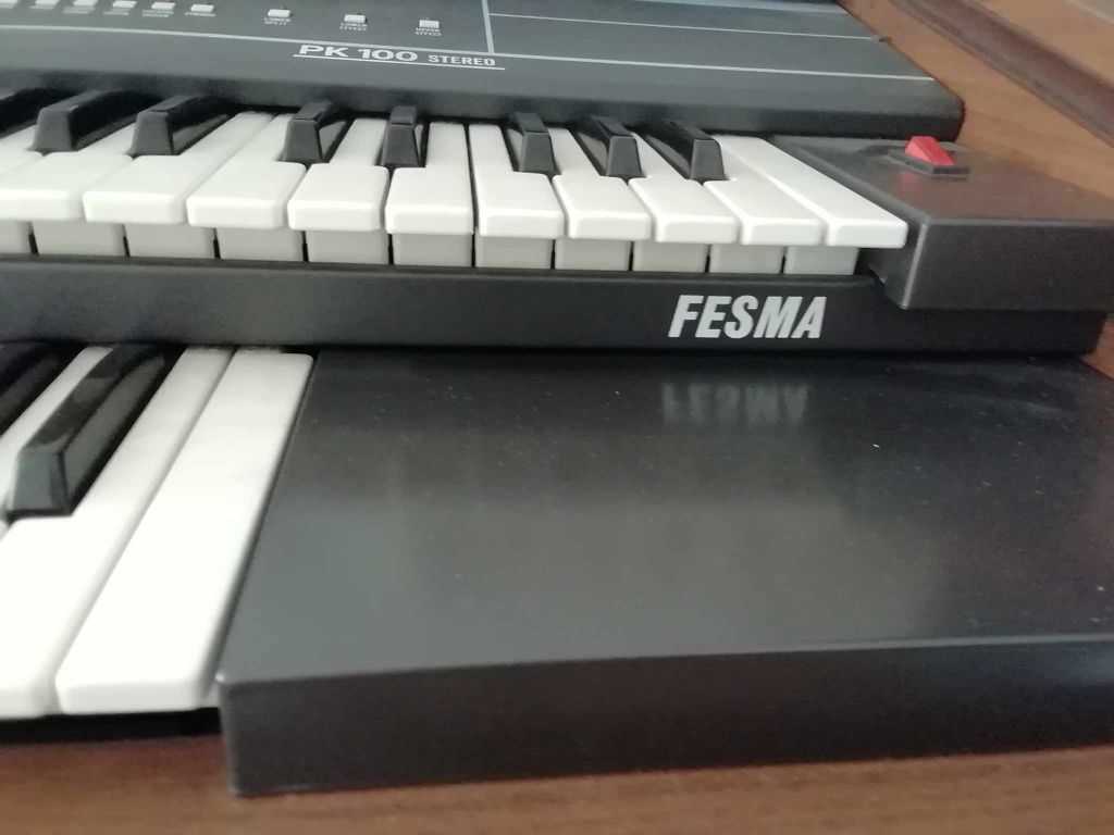 Órgão Fesma PK100 stereo