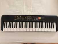 Orgão / piano elétrico/ teclado elétrico