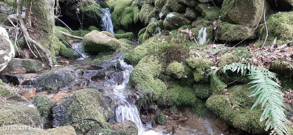 Terrenos – Sever do Vouga