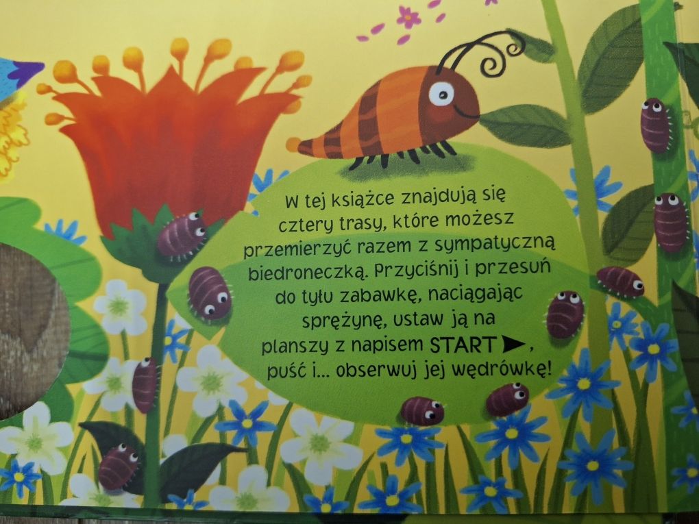 Książeczka Wędrującą biedroneczka biedronka 4 trasy