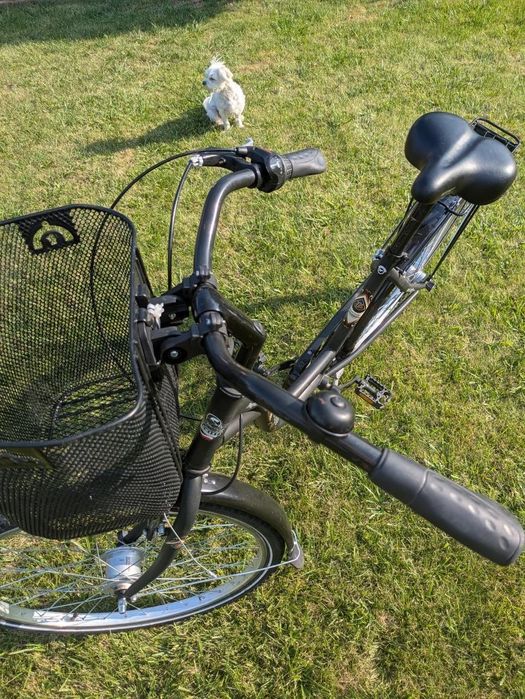 Rower Damski  Teamraider