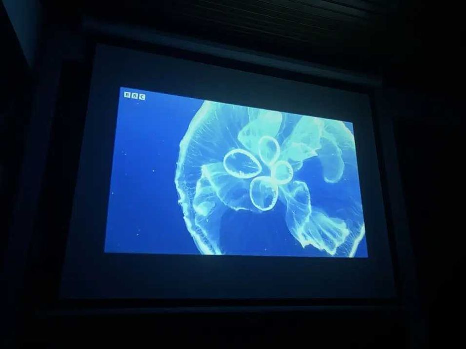 Projetor 1080p + Tela 72"